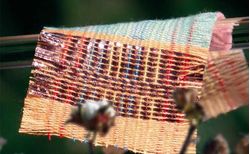 The elusive fibre_small